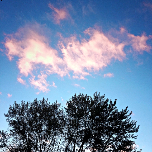 nature, clouds, square, trees, illumination, silhouette, blue sky, frank j casella,
